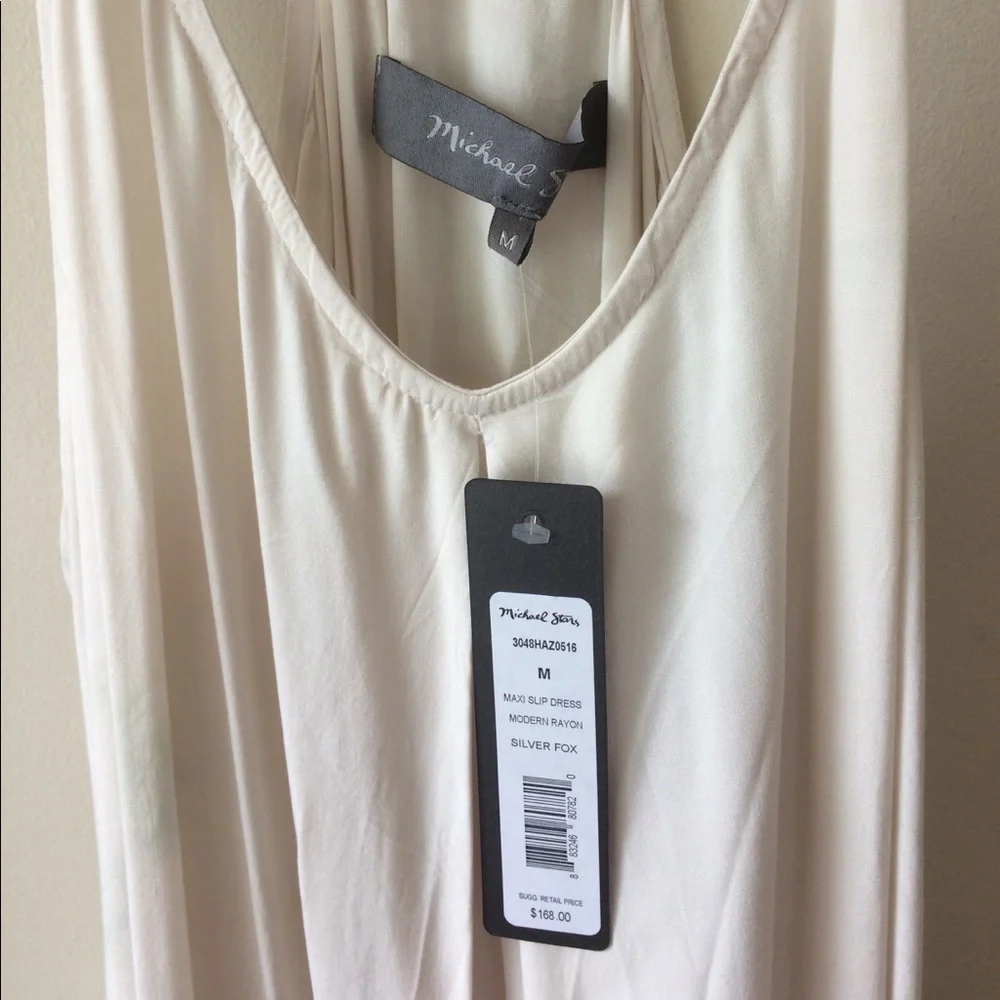 Michael Stars Silver Fox Maxi Slip Dress - Picture 5 of 7